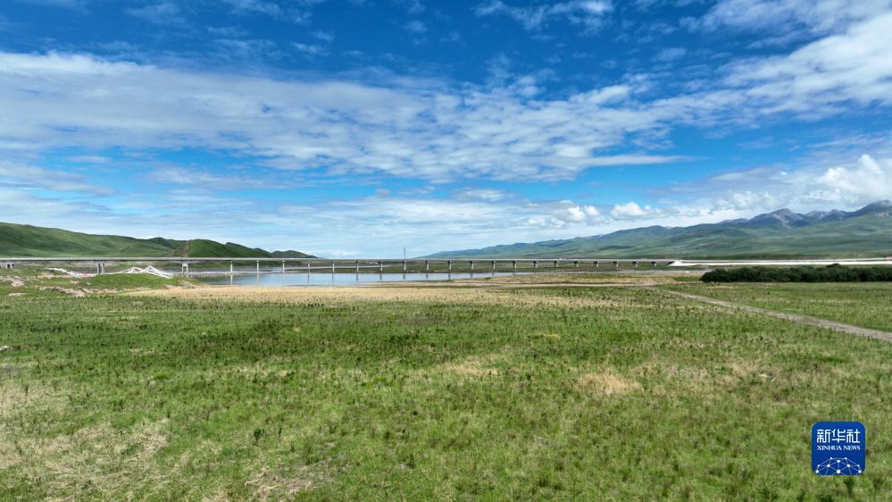 新甫京娱乐场官网登录